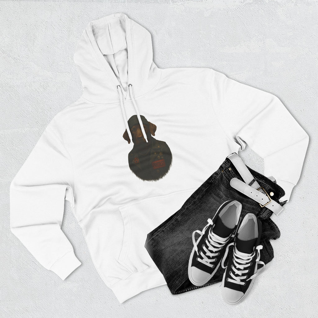 Three-Panel Fleece Hoodie